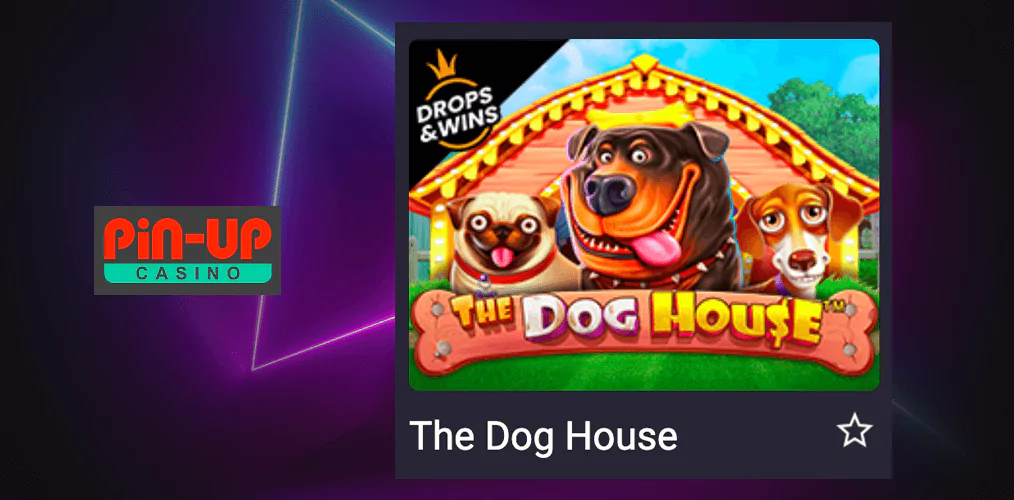 The Dog House - Pin Up Slot Game haqqında məlumat
